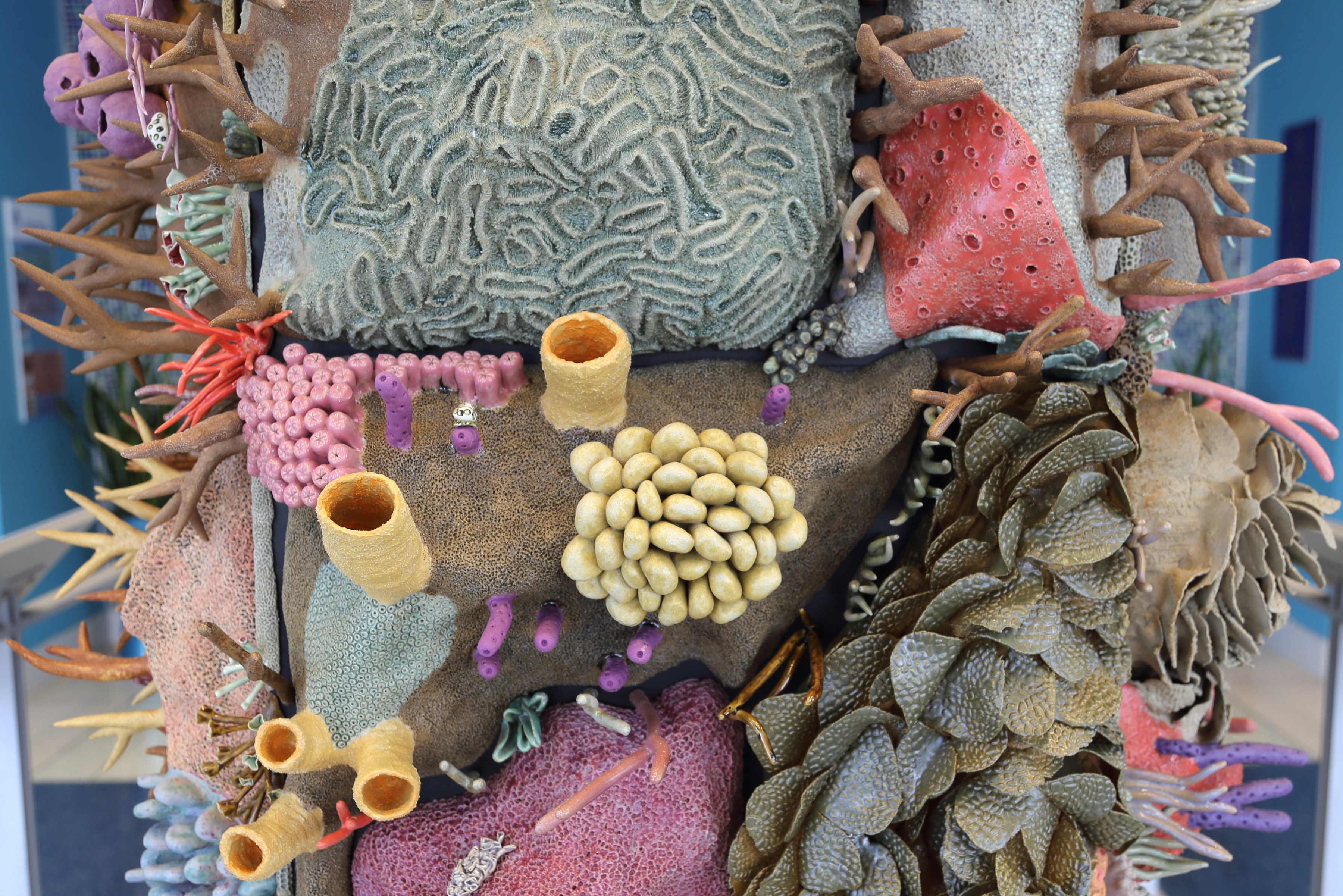 sculpture-meeting-data-and-coral-reefs-interview-with-courtney