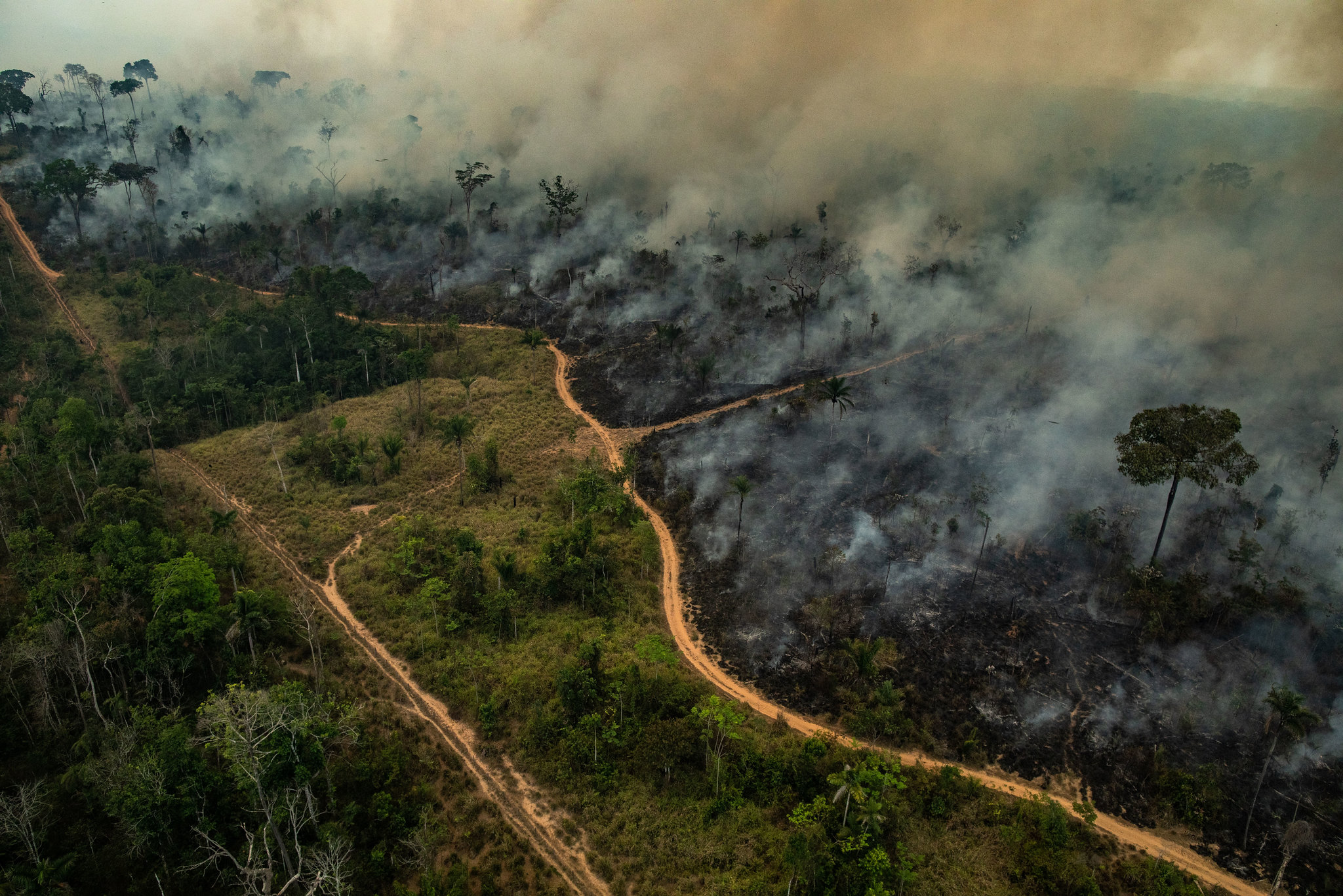 Wildfires: Compromising A Key Natural Climate Solution