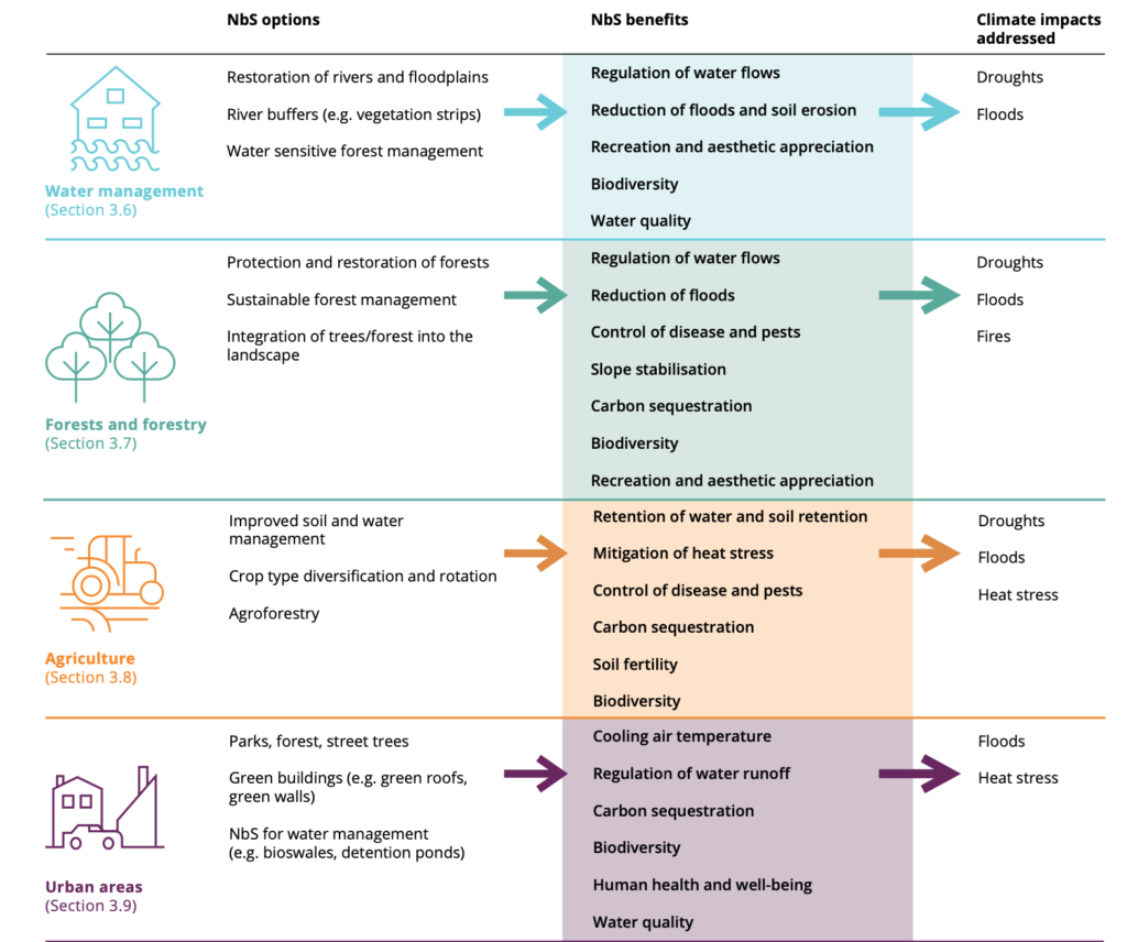 nature-based-solutions-foresight