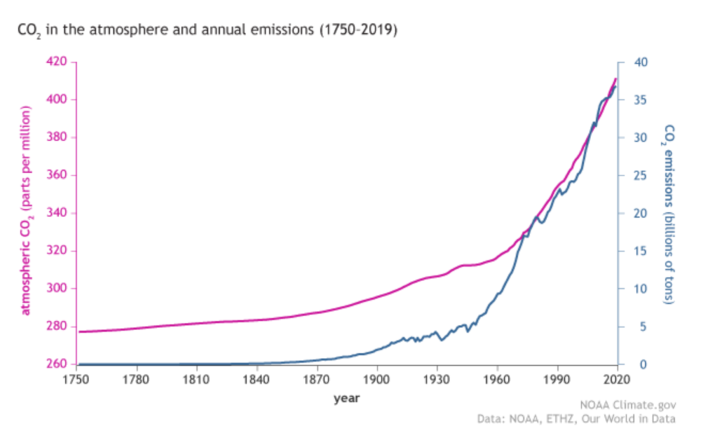 net-zero