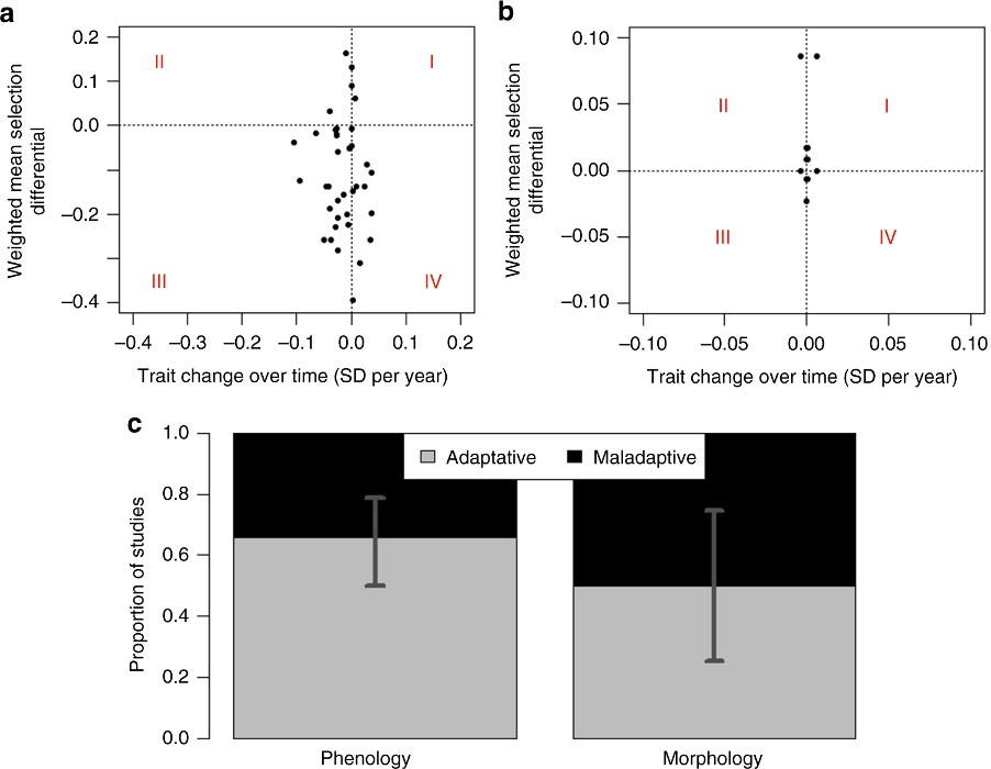 who will survive adaptive phenology