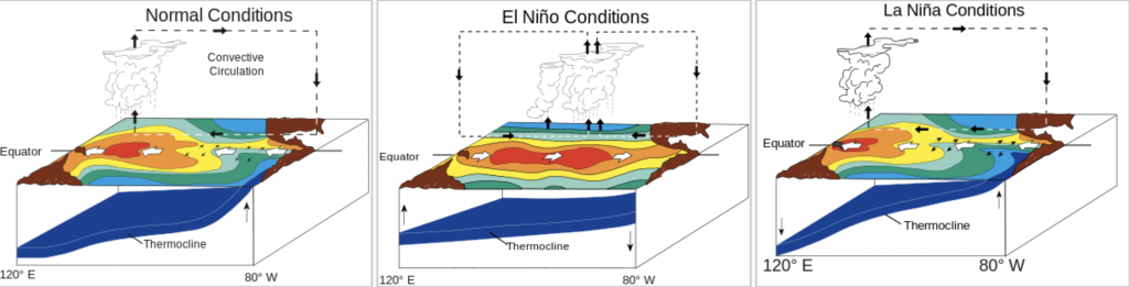 ENSO diagram