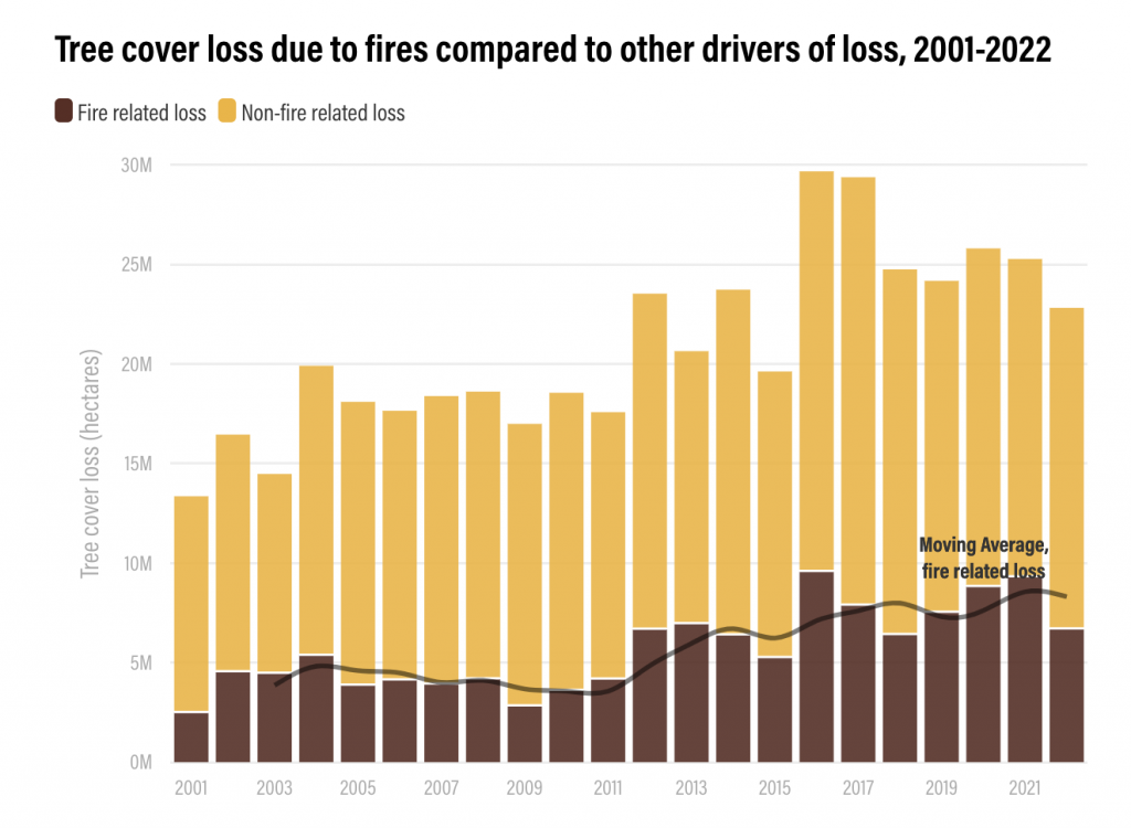 wildfires_WRI