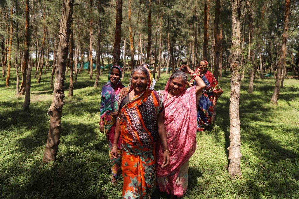 Cover Image: Ten self-help groups in Puri in the Indian state of Odisha are replanting Casurina forests along the coast to reduce the impact of cyclones and seawater intrusion, which destroys their crops. Credits: Shawn Sebastian/ September 2022