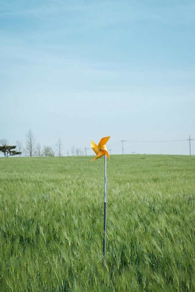 yellow pinwheel in green grass field