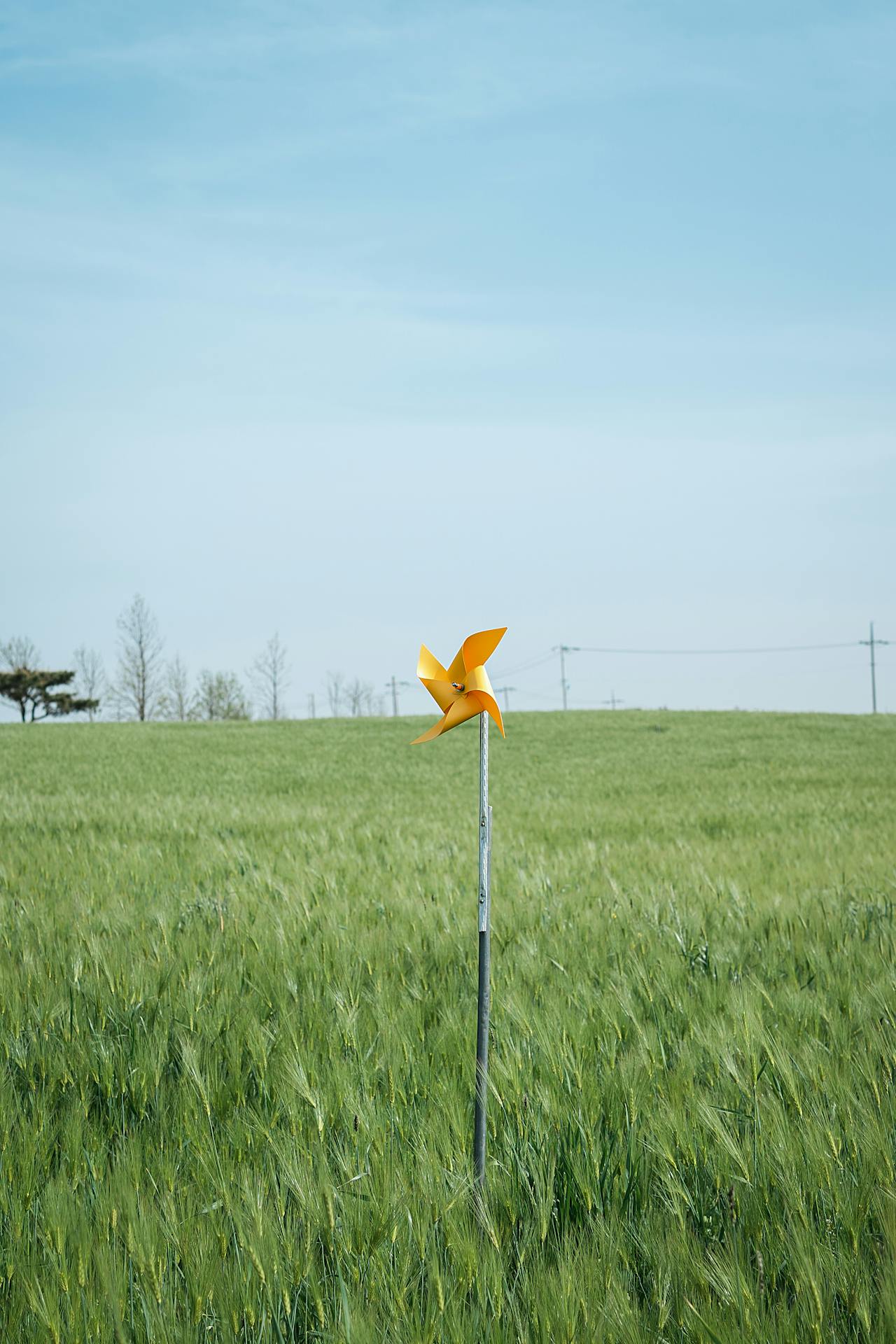 yellow pinwheel in green grass field