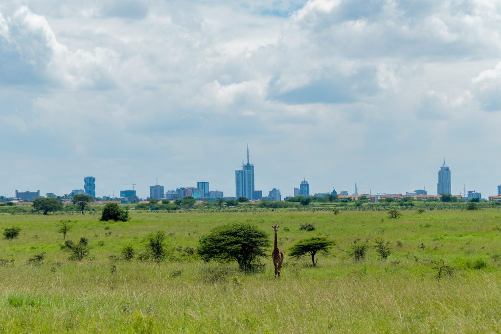 a giraffe in Nairobi National Park Gate, Nairobi, Kenya