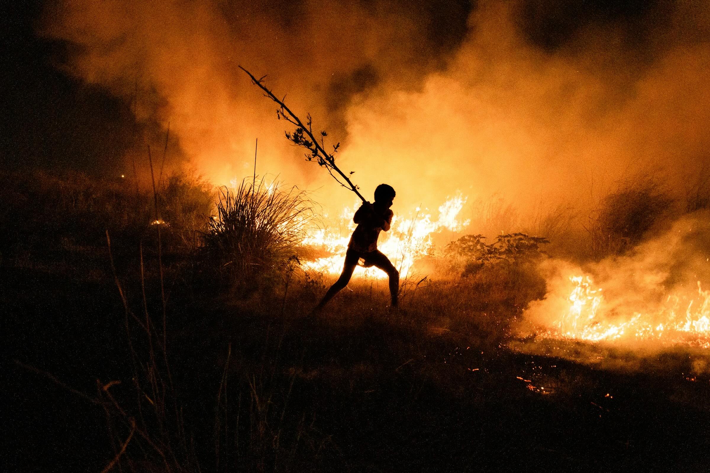 wildfire